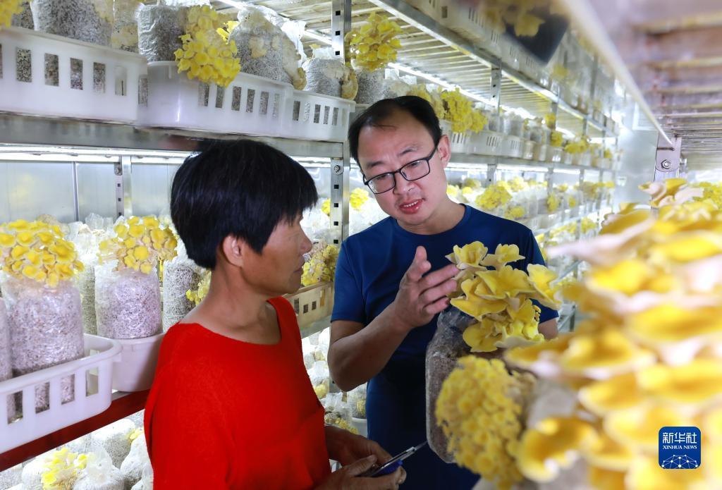 88平台登录界面
